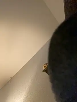 Snapshot of goldbuni chatting on December 30, 2024, 1:25 pm goldbuni online show from December 30, 2024, 1:25 pm