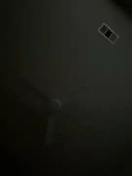 Snapshot of goldbuni chatting on November 9, 2025, 12:42 pm goldbuni online show from November 9, 2025, 12:42 pm