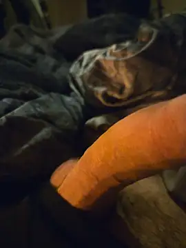 ruffuuss online show from April 22, 2026, 6:31 am