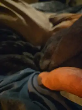 Snapshot of ruffuuss chatting on January 10, 2026, 8:09 am ruffuuss online show from January 10, 2026, 8:09 am