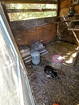 Snapshot of Mistress_Melissa chatting on February 3, 2025, 4:41 pm Mistress Melissa online show from February 3, 2025, 4:41 pm