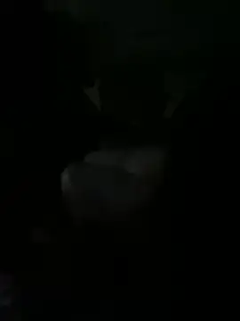 kidnovo online show from February 21, 2026, 2:24 am