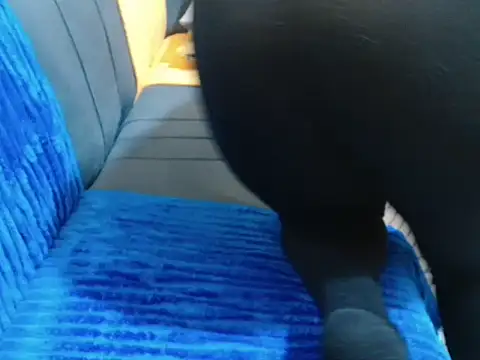 Snapshot of leslysexygirl chatting on February 16, 2026, 5:28 am leslysexygirl online show from February 16, 2026, 5:28 am