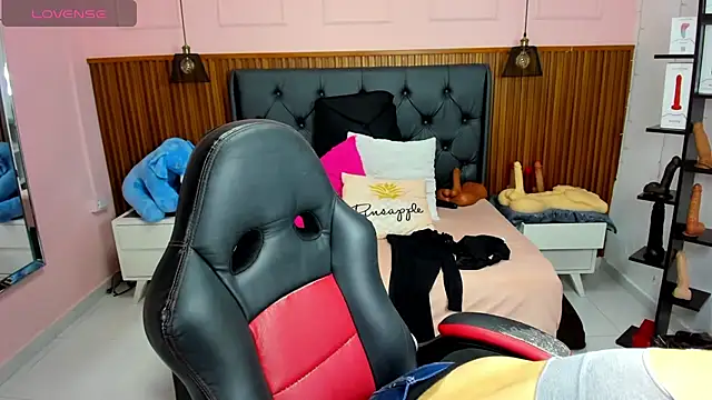 Snapshot of MEYLAGIA chatting on February 11, 2026, 3:06 am MEYLAGIA online show from February 11, 2026, 3:06 am