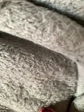 Snapshot of Danilo_2017 chatting on June 9, 2026, 2:07 pm Danilo 2017 online show from June 9, 2026, 2:07 pm