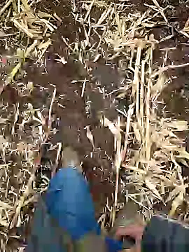 Snapshot of murokkk31 chatting on January 5, 2025, 6:46 am murokkk31 online show from January 5, 2025, 6:46 am