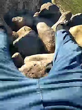 Snapshot of murokkk31 chatting on January 10, 2025, 7:46 am murokkk31 online show from January 10, 2025, 7:46 am