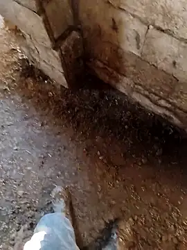 Snapshot of murokkk31 chatting on January 14, 2026, 7:12 am murokkk31 online show from January 14, 2026, 7:12 am