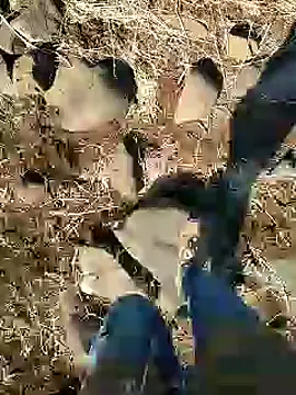 Snapshot of murokkk31 chatting on January 25, 2025, 9:15 am murokkk31 online show from January 25, 2025, 9:15 am