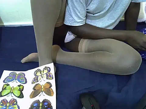 tasty piee online show from March 21, 2026, 9:25 am