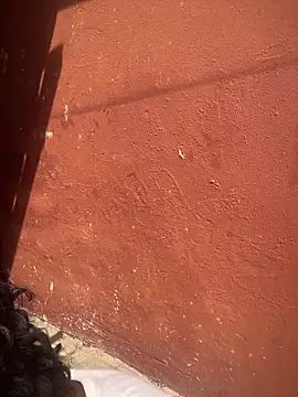 Snapshot of Moorella1 chatting on February 10, 2026, 8:02 am Moorella1 online show from February 10, 2026, 8:02 am