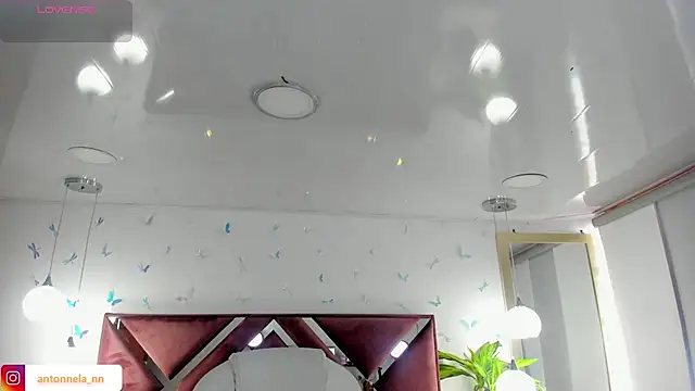 Snapshot of _Antonnela_ chatting on February 8, 2026, 2:37 pm Antonnela online show from February 8, 2026, 2:37 pm