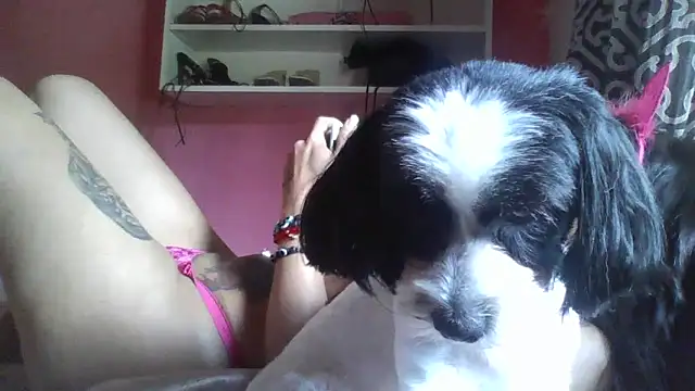 Bonecagulosa online show from November 4, 2025, 4:00 pm