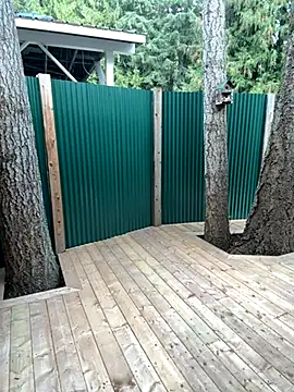 twist699 online show from November 11, 2025, 6:47 pm