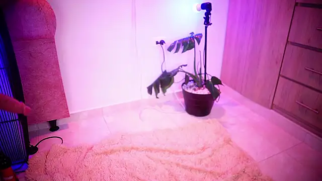 Snapshot of Mikubani18 chatting on November 8, 2025, 3:43 am Mikubani18 online show from November 8, 2025, 3:43 am