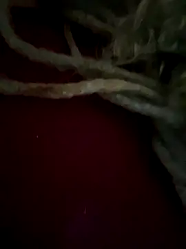 sammoura01 online show from September 25, 2025, 12:00 pm