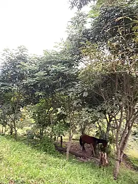 FlpGmz online show from April 7, 2026, 10:11 pm