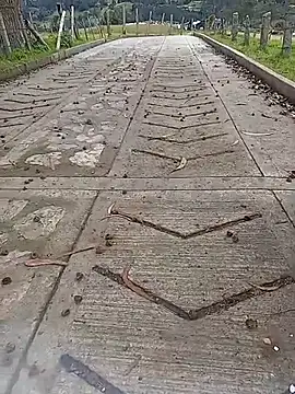 Cuervo maniaco online show from October 12, 2025, 4:19 pm