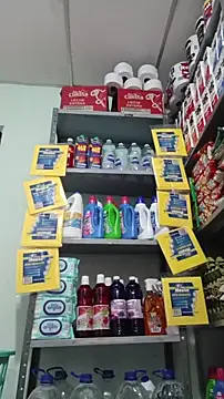 Magica lorena online show from April 9, 2026, 1:06 pm