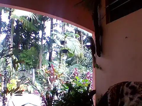 Snapshot of sellvageria chatting on October 4, 2025, 12:39 pm sellvageria online show from October 4, 2025, 12:39 pm