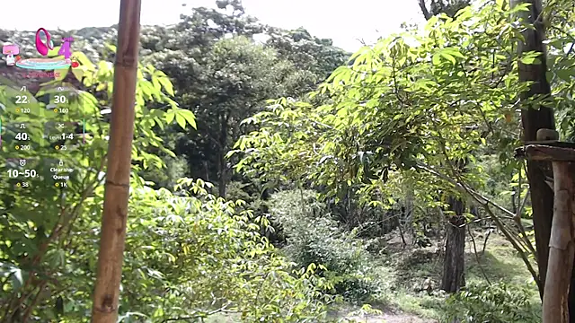 Snapshot of andreu_mature chatting on November 20, 2025, 3:12 pm andreu mature online show from November 20, 2025, 3:12 pm