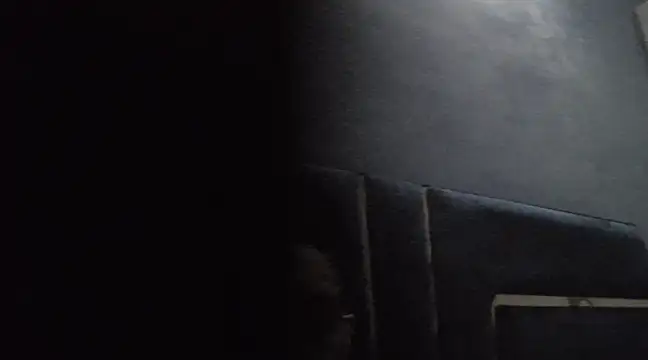 dhnropmoc008 online show from February 5, 2025, 9:40 pm