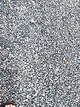 novinho rosado online show from December 21, 2025, 11:01 am