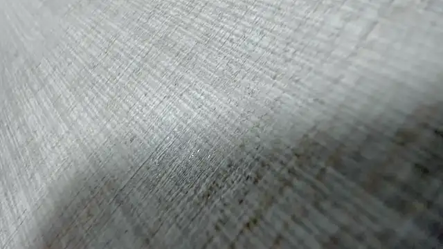 AishaRouhi online show from March 31, 2026, 4:14 am