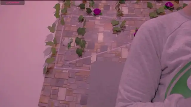 CrazyRousex online show from January 14, 2026, 2:20 pm