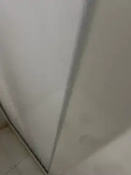 riel3415 online show from January 20, 2025, 12:46 am