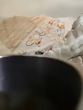 Snapshot of SilencedWow chatting on January 17, 2025, 1:15 am SilencedWow online show from January 17, 2025, 1:15 am