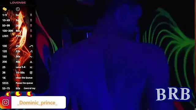 DominicPrince online show from November 15, 2025, 3:21 am