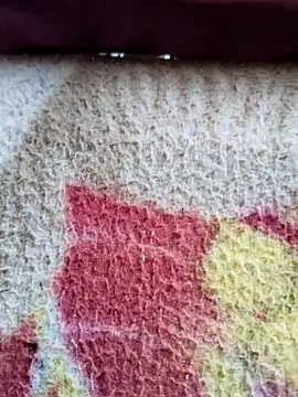 Snapshot of MAN_MOHINI_21 chatting on March 12, 2025, 6:07 am MAN MOHINI 21 online show from March 12, 2025, 6:07 am