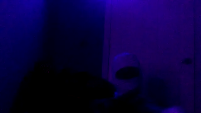 shomeagudtyme online show from October 29, 2025, 3:38 am