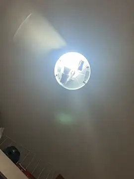 Snapshot of palomamoraid chatting on December 21, 2024, 10:40 pm palomamoraid online show from December 21, 2024, 10:40 pm