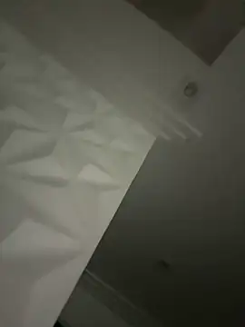 Snapshot of palomamoraid chatting on December 20, 2024, 2:19 am palomamoraid online show from December 20, 2024, 2:19 am