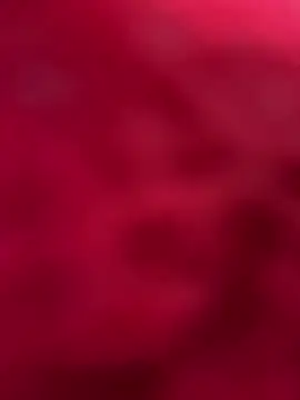 Snapshot of palomamoraid chatting on March 12, 2025, 10:50 pm palomamoraid online show from March 12, 2025, 10:50 pm