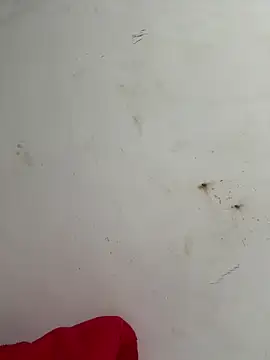 Snapshot of palomamoraid chatting on February 17, 2025, 10:27 pm palomamoraid online show from February 17, 2025, 10:27 pm