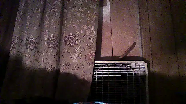 Snapshot of luke_thighwalker2469 chatting on December 2, 2025, 2:45 am luke thighwalker2469 online show from December 2, 2025, 2:45 am