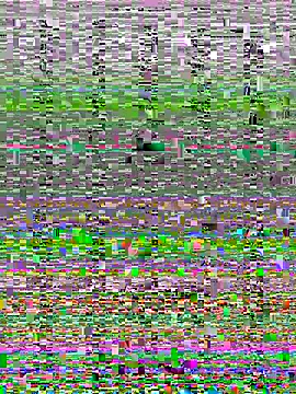 Wy1766 online show from October 22, 2025, 9:24 pm