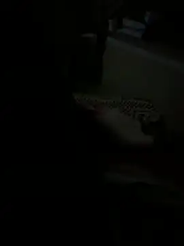 julia julia02 online show from February 24, 2026, 3:18 am