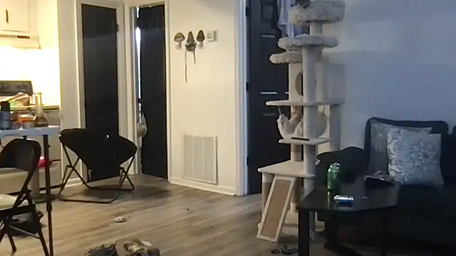 Snapshot of SpunCandy chatting on October 1, 2025, 4:28 am SpunCandy online show from October 1, 2025, 4:28 am