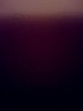 ZeFFirky online show from December 4, 2025, 9:14 pm