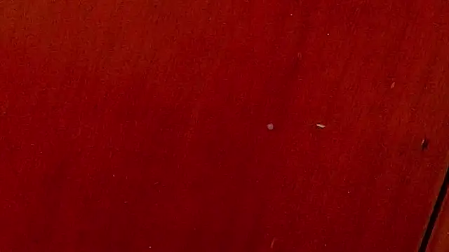 anisha x online show from October 4, 2025, 7:04 pm