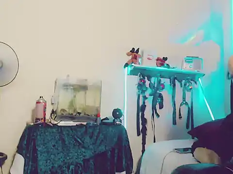 kimkardasha98 online show from December 23, 2025, 2:33 am