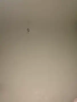 NatyOlson online show from November 8, 2025, 4:38 am