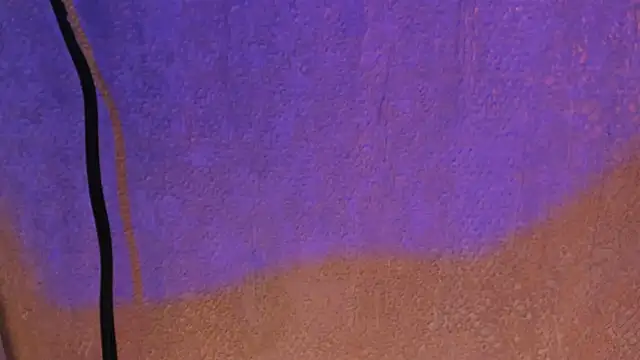 Snapshot of pink_lia2 chatting on December 13, 2024, 11:55 am pink lia2 online show from December 13, 2024, 11:55 am