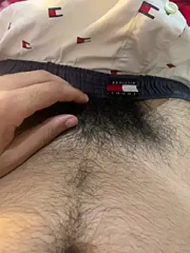 LaminarAerosol online show from April 20, 2026, 12:02 am