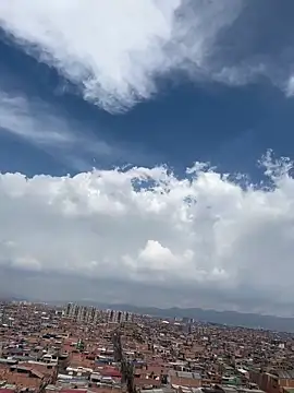 evy orange1 online show from February 3, 2025, 6:49 pm