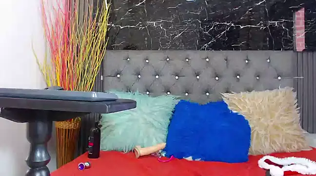 Snapshot of NalaRoy chatting on December 11, 2024, 5:59 pm NalaRoy online show from December 11, 2024, 5:59 pm